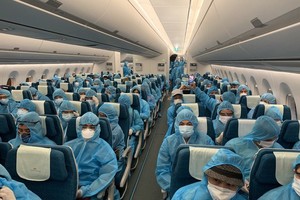 Information of "rescue" flights synthesized, sent to Ministry of Public Security