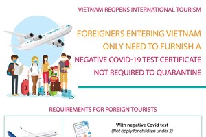 Vietnam drops quarantine requirements for foreign arrivals