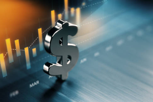 False claim of losses by FDI companies