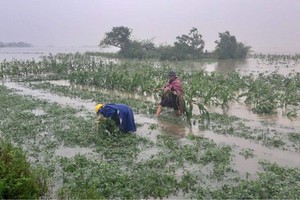 Central region ready for dealing with two storms, tropical depression 