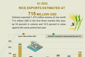 Rice exports estimated at US$715 million in Q1