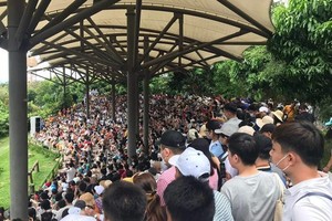  Numerous visitors flock to Mekong Delta tourism sites during holidays