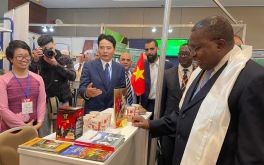 Vietnamese goods introduced in Africa 