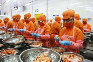 Vietnam must strengthen economic autonomy