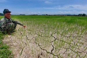 Central localities struggle against hot, dry climate 