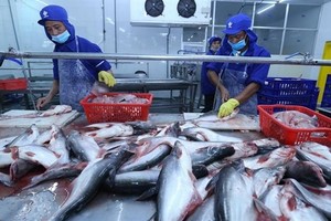 Tra fish exports expected to beat target
