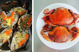 Ca Mau crabs granted protected GI certificates