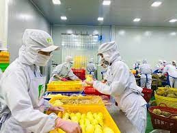 Vietnam eyes global top 10 in agricultural processing