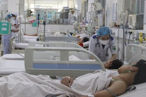 HCMC records two more deaths from dengue fever