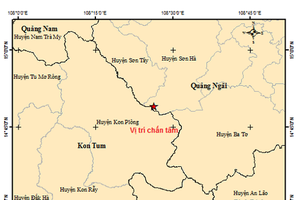 Magnitude-2.5 earthquake occurs in Quang Ngai Province