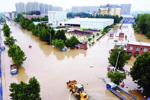 Project helps strengthen Mekong Delta’s resilience against climate change
