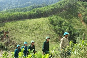 “Hot point” of dioxin in Thua Thien-Hue Province revived