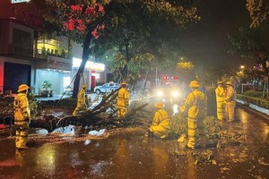 Typhoon Noru landfall brings thundery downpours to coastal Central region 
