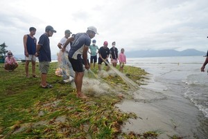 Locals rush to catch fish after storm Noru in Da Nang 