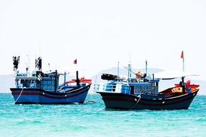 Bac Lieu striving to remove EC “yellow card” on fisheries sector