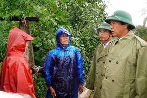 Deputy PM inspects most severe flood-hit localities of Thua Thien - Hue