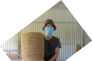 High economic value of Ben Tre based-coconut tree