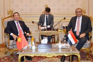 NA Vice Chairman pays working visit to Egypt