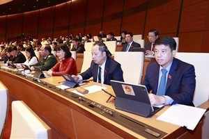 NA adopts resolution on dismissal of two Deputy PMs