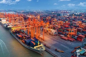 Vietnam continues to grow fast in 2023: British expert