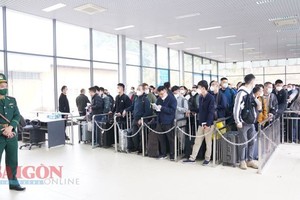 Customs clearance suspended at border gates in 7 days during Tet festival