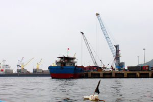 Deep-water seaport of Vung Ang welcomes two first bulk carriers of 2023