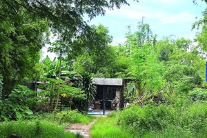 HCMC reviews prolonged projects causing concerns to residents