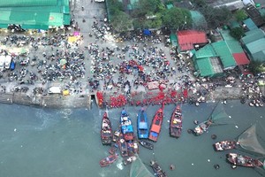 Hustle and bustle activities at Nghi Thuy fish market