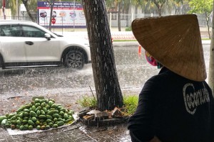 Rains bring relief from scorching days in Southern, Central Highlands regions