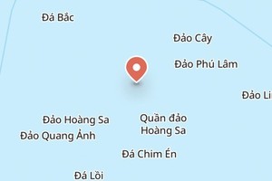 Grab fined US$2,576 for using map violating Vietnam's sovereignty 