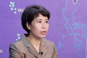 Vietnam facilitates operation of French investors: official