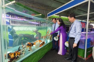 HCMC opens typical agricultural product fair