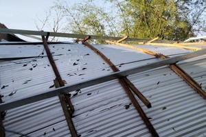 Dong Nai Province braces for hail-damaged crops