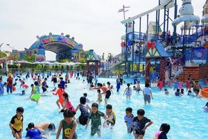 Airlines increase flights, launch preferential programs on holidays