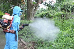 HCMC to thoroughly handle points at risks of dengue outbreak