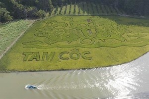 2023 Ninh Binh tourism week to draw many visitors