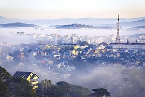 Da Lat losing its quintessential charm