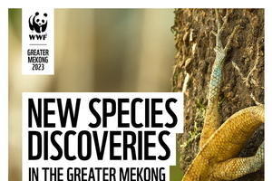 Vietnam discovers 158 new species during 2021-2022