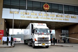 Vietnam proposes fresh seafood export via border gates in Yunnan, China