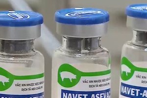 Vietnamese-made African swine fever vaccine used in Philippines, Dominica
