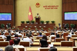 NA sets up specialized supervisory delegations for 2024