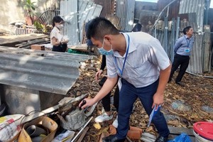 Hand-foot-mouth disease, dengue fever in HCMC expected to get more complicated