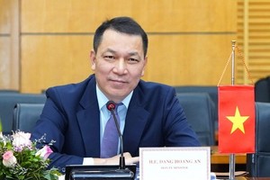 Mr. Dang Hoang An holds EVN’s Chairman of Member Council