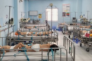 Cases of hand-foot-mouth disease rocketing in HCMC 