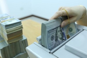 Reference exchange rate up VND19 at week’s beginning
