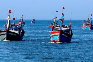Localities strictly monitor vessels to fight IUU fishing