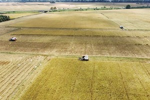 EVFTA a milestone in Vietnam-EU bilateral cooperation