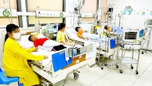 Dengue fever cases increase in Northern region including Hanoi
