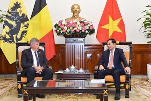 Foreign Minister receives leader of Belgium's Flanders region