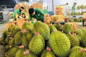 Veggie, fruit exports to China enjoy double-digit growth rate